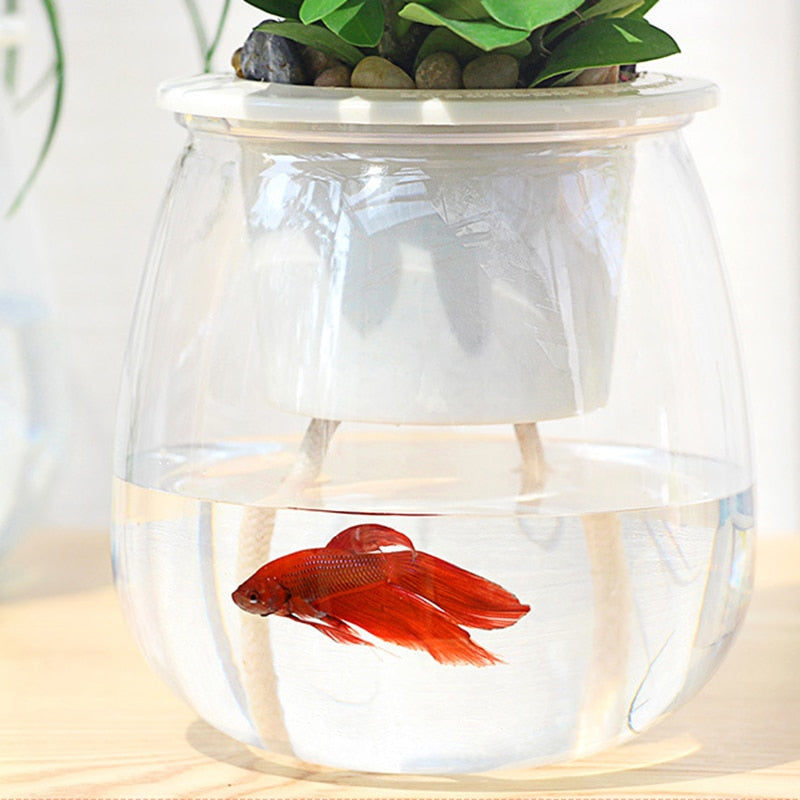 Self Watering Planter Pots