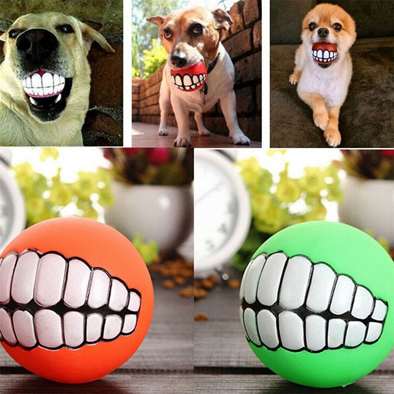 Pet Toys Interactive Toy