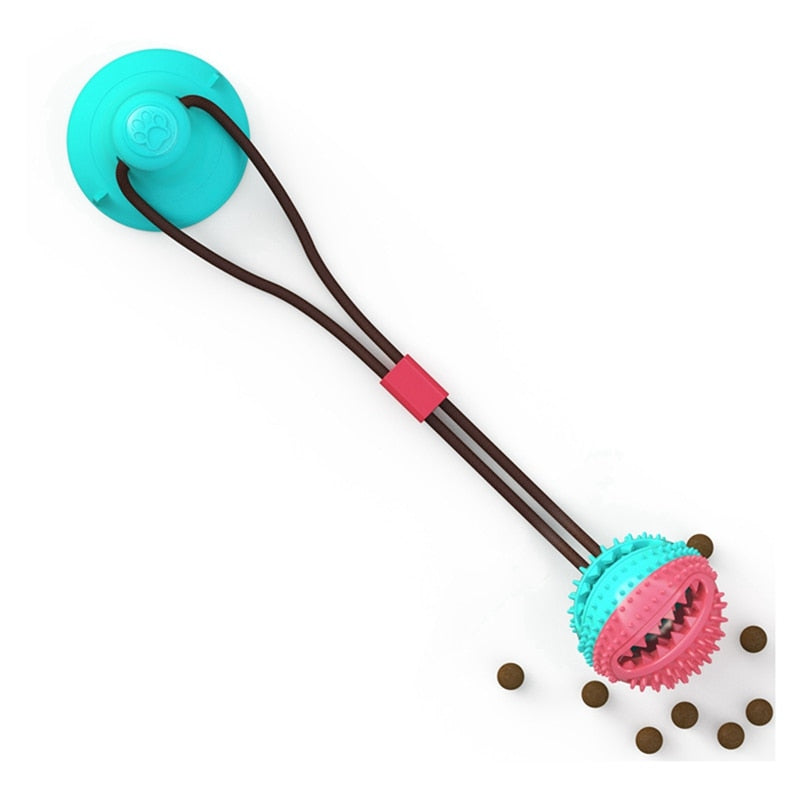 dog biting toy