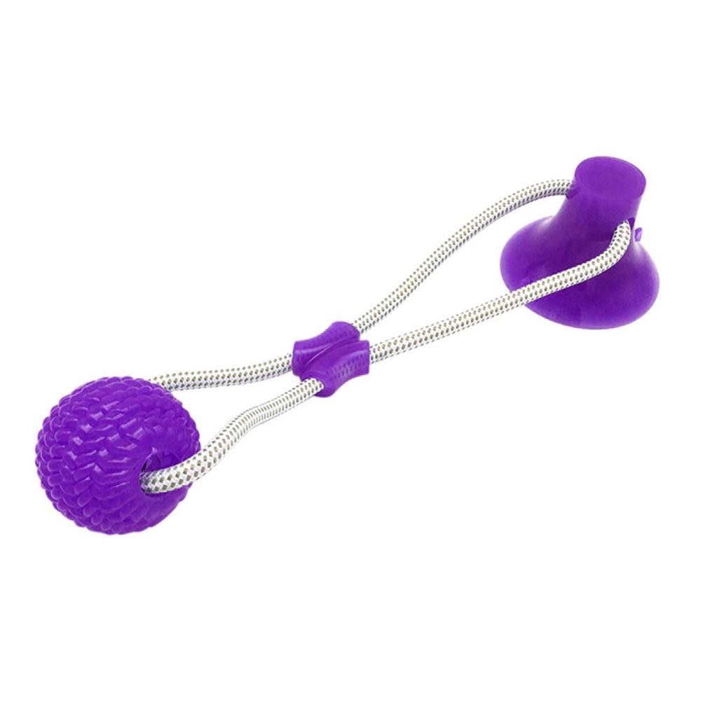 dog biting toy
