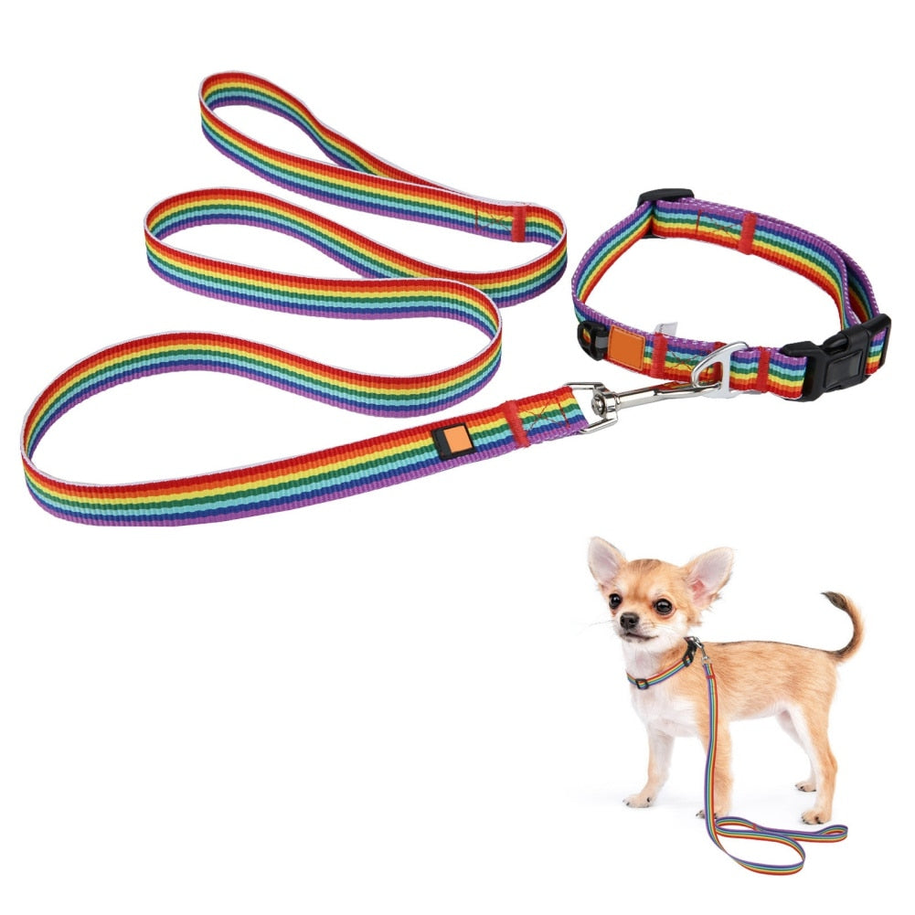 Pet Collar