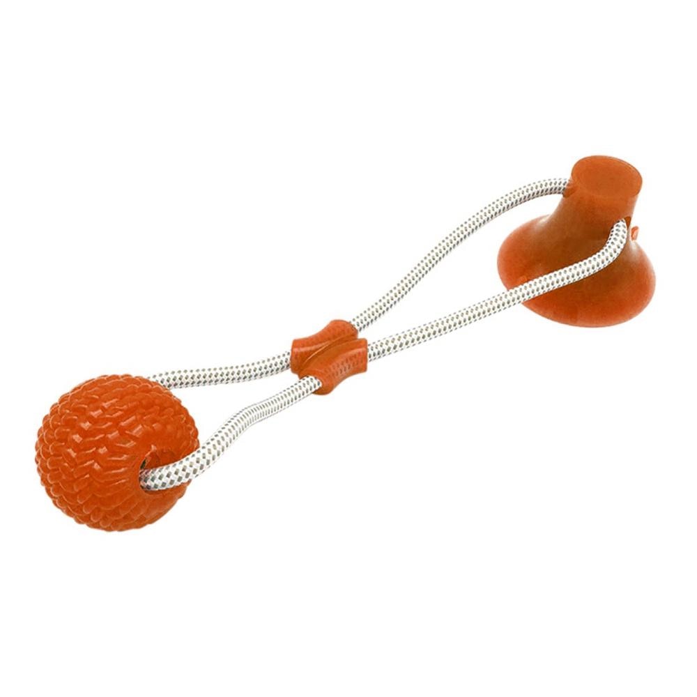 dog biting toy