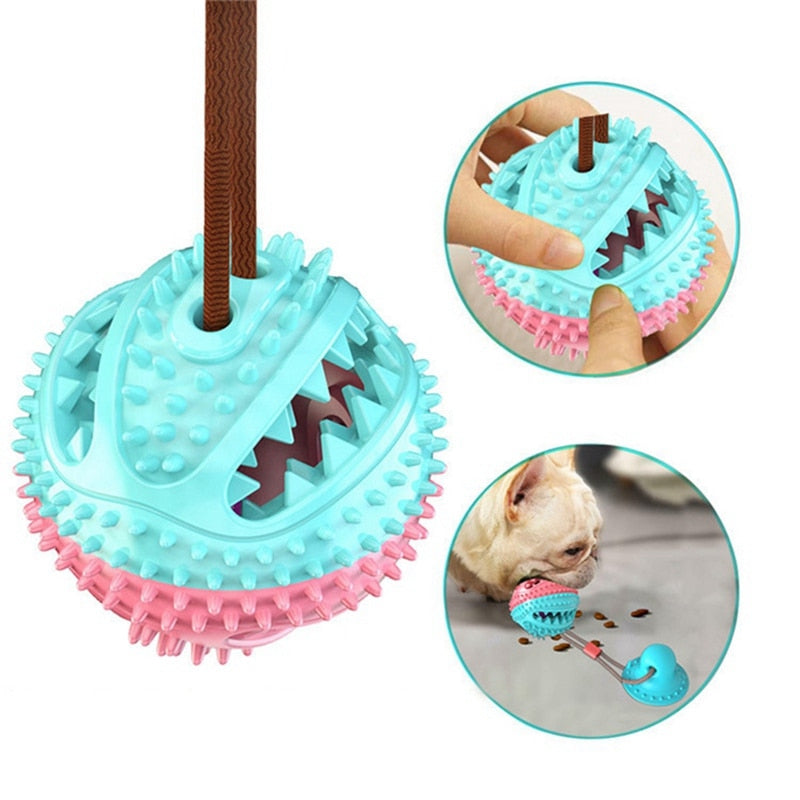dog biting toy