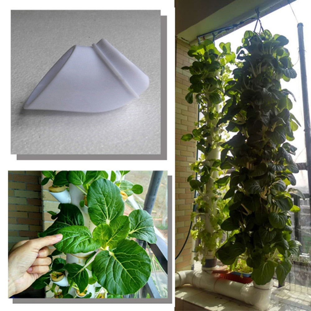 50 Pcs DIY Hydroponic colonization cups