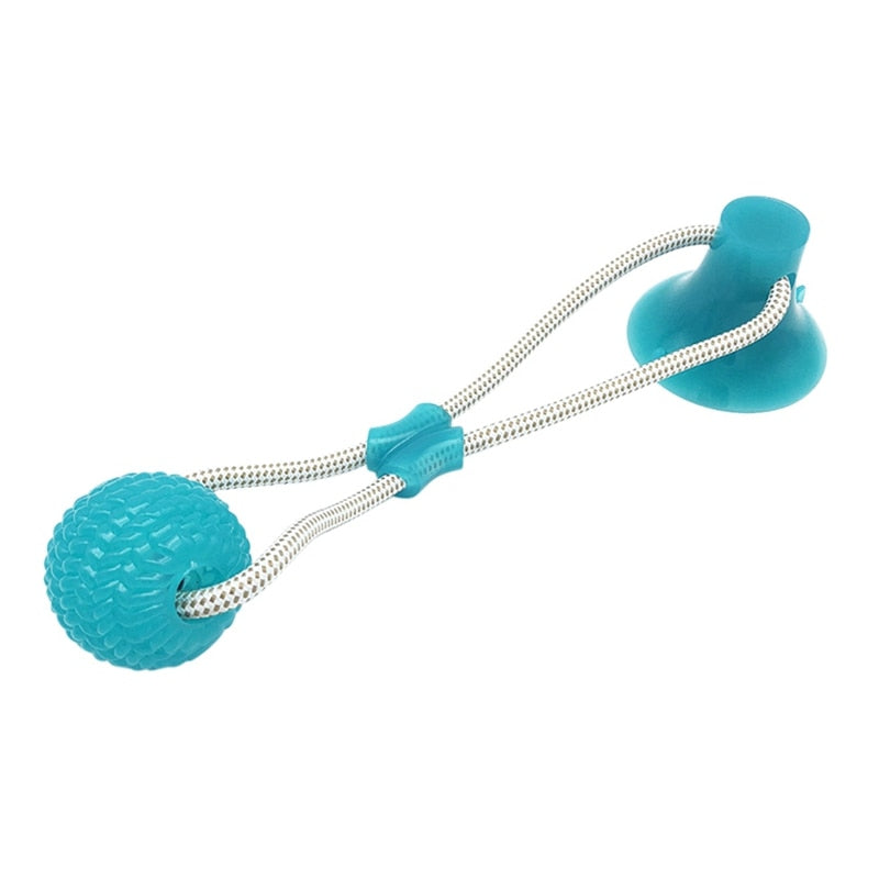 dog biting toy
