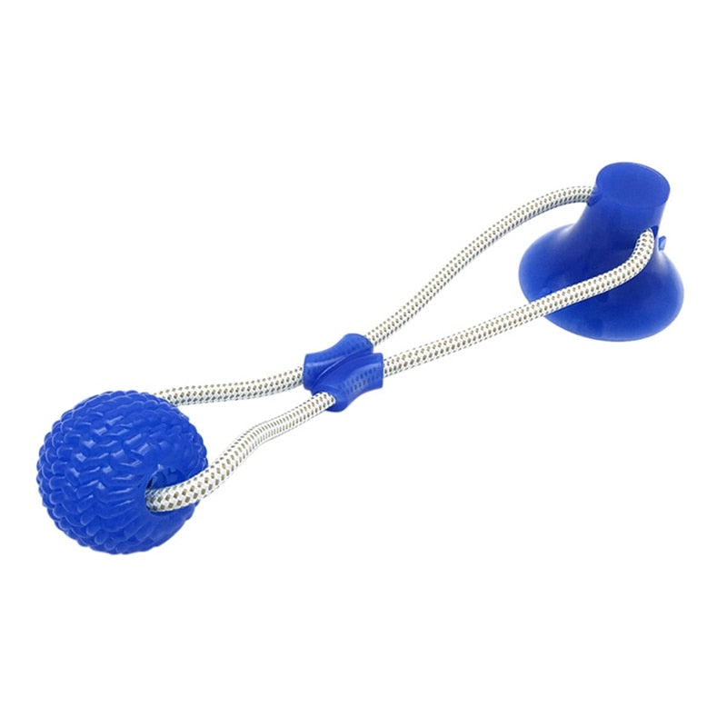 dog biting toy