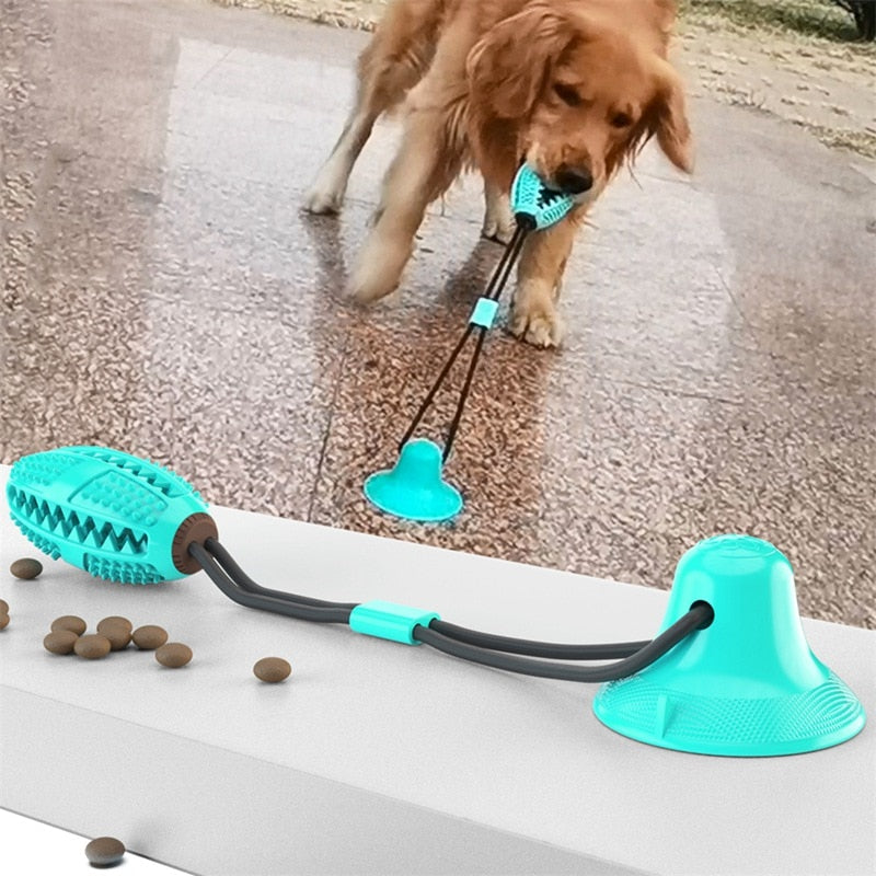 dog biting toy