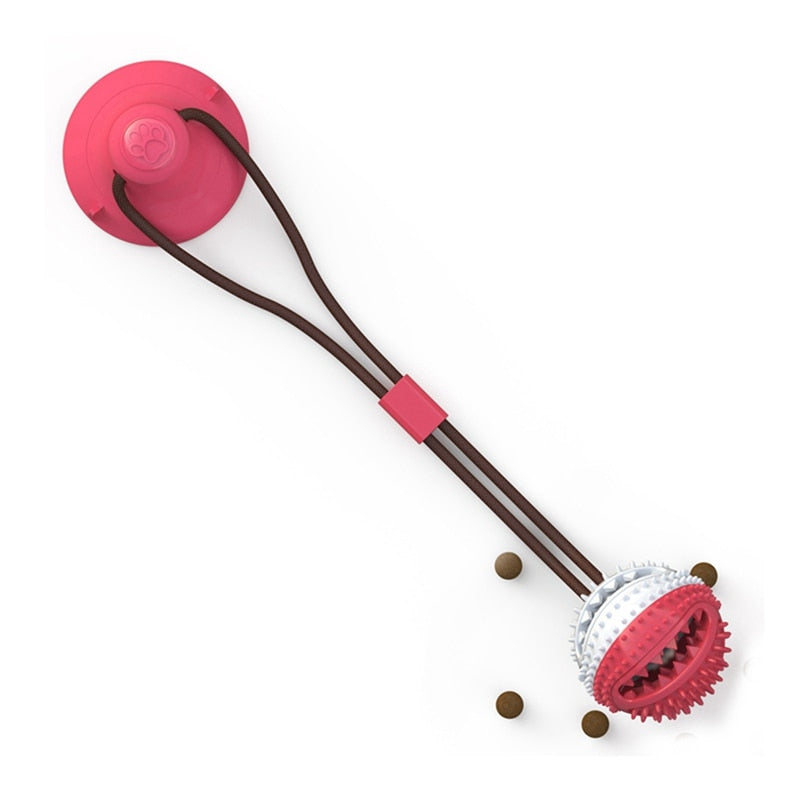 dog biting toy