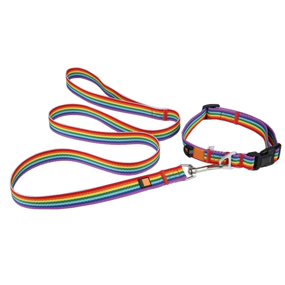 Pet Collar