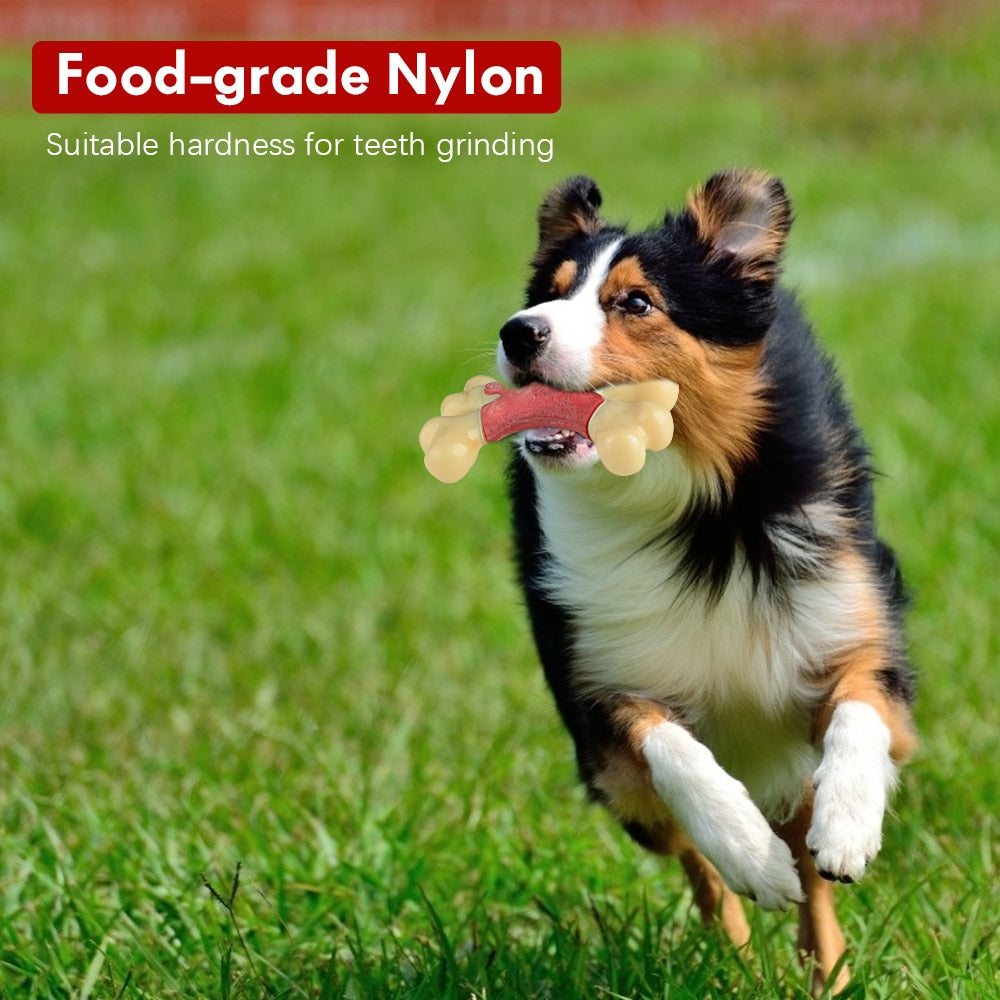 Durable Natural Rubber Puppy Chew Toy
