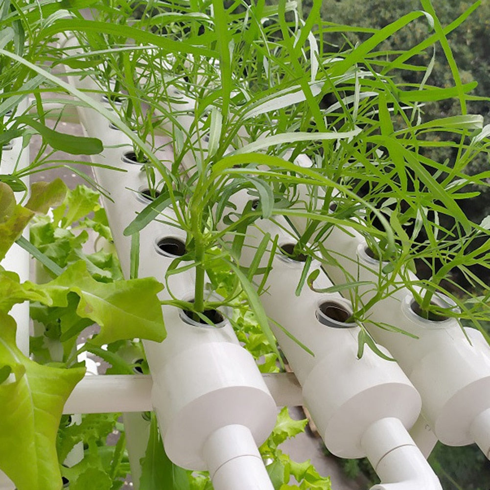 Clone Nursery Planting Net Colonization Mesh Pot