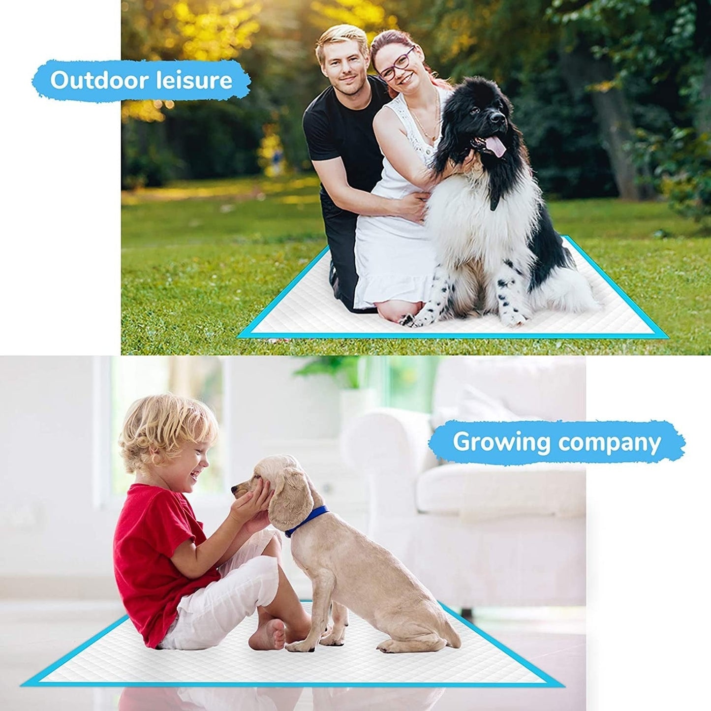 Super Absorbent Pet Diaper