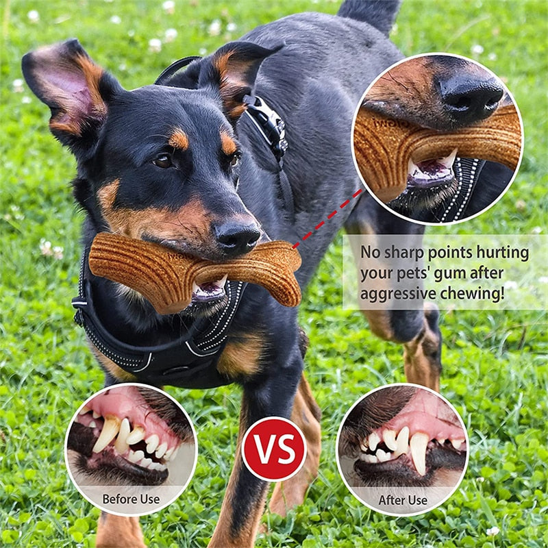 Real Wooden Deer Antlers Dog