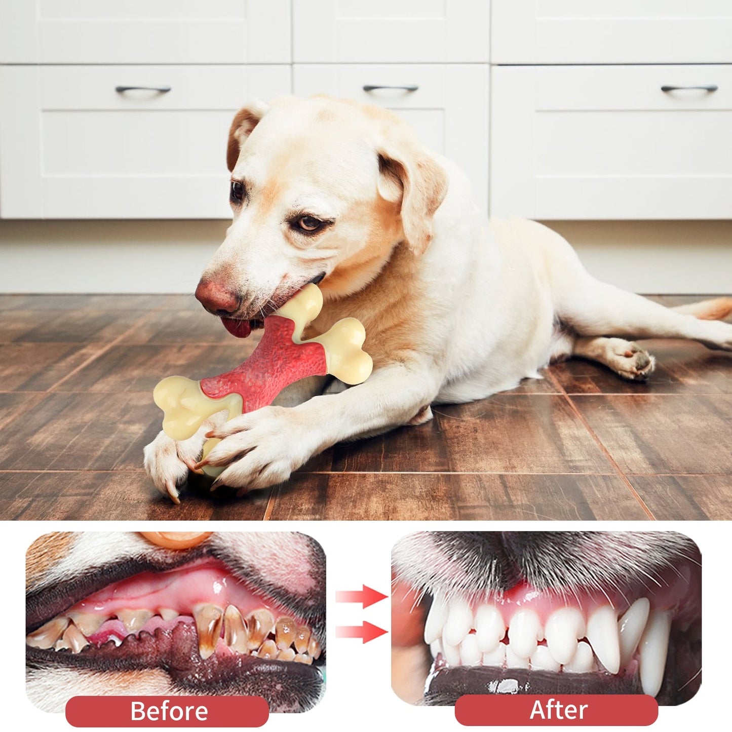 Durable Natural Rubber Puppy Chew Toy