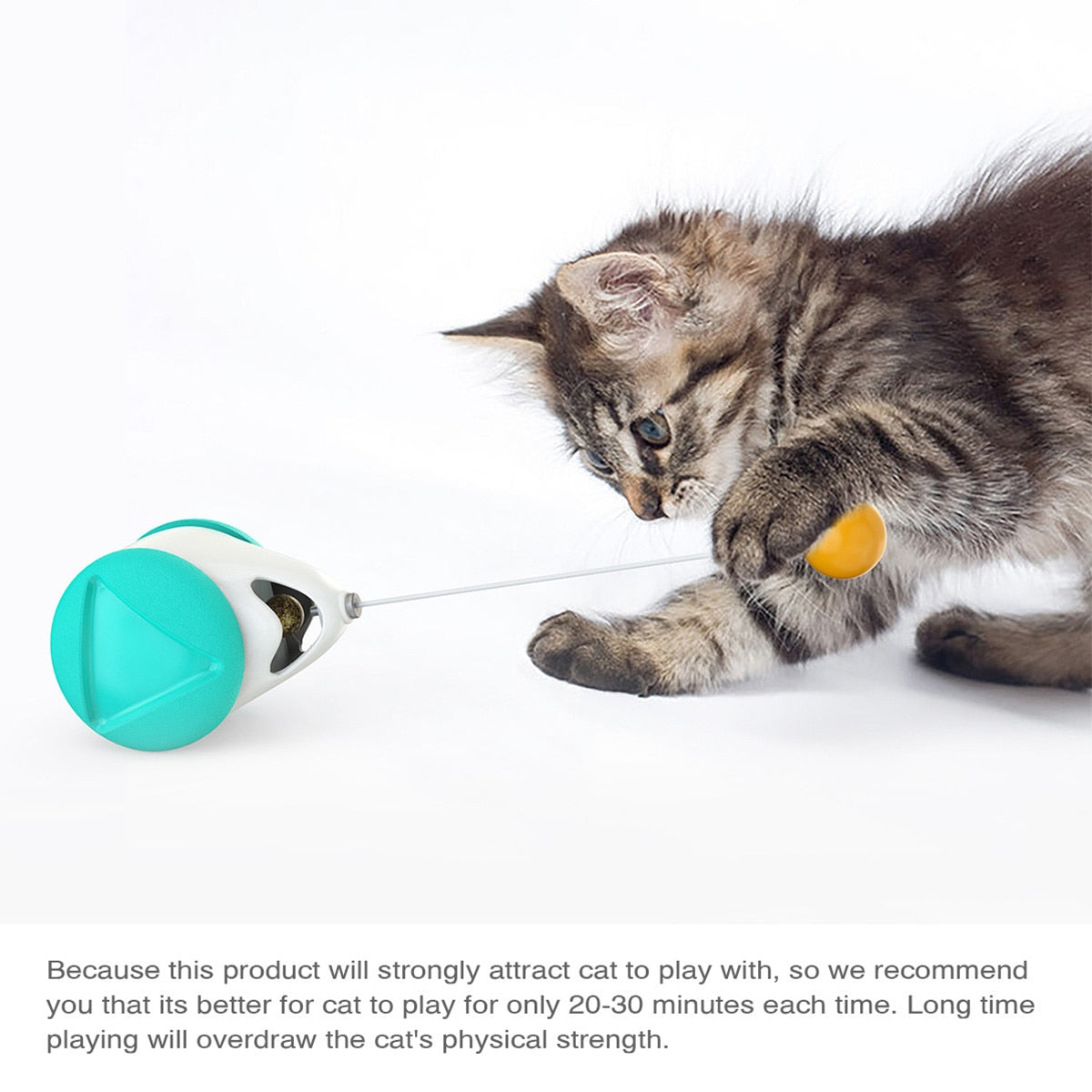 Pet Ball Toys