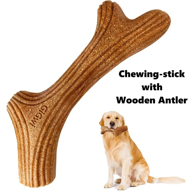 Real Wooden Deer Antlers Dog