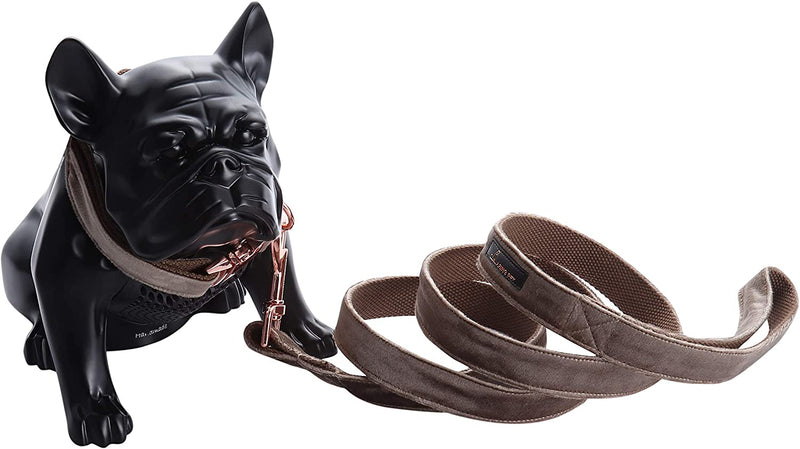 "Premium ARING Velvet Dog Collar and Leash Set - Soft, Comfy & Adjustable for Ultimate Canine Comfort!"