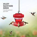 "Premium Hummingbird Feeder with Ant Moat, Bee Guard, and Elegant Design - Ideal for Attracting Charming Avian Species!"