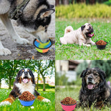 "Convenient 2-Pack Collapsible Dog Bowls for On-The-Go Pets – BPA Free, Dishwasher Safe, and Travel-Friendly!"