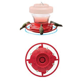 "Premium Hummingbird Feeder with Ant Moat, Bee Guard, and Elegant Design - Ideal for Attracting Charming Avian Species!"