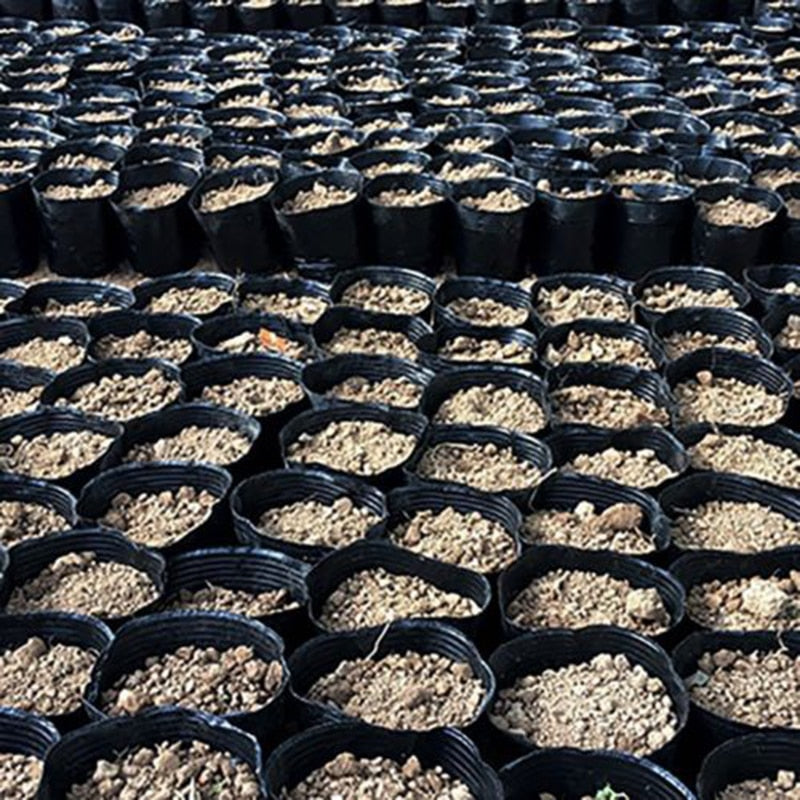 Household Garden Black Plastic Plant Nutrition Pots