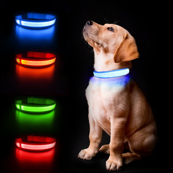 Waterproof Safety Dog Collar