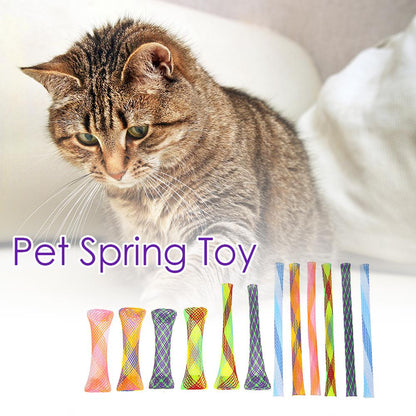 Colorful Cat Spring Toys