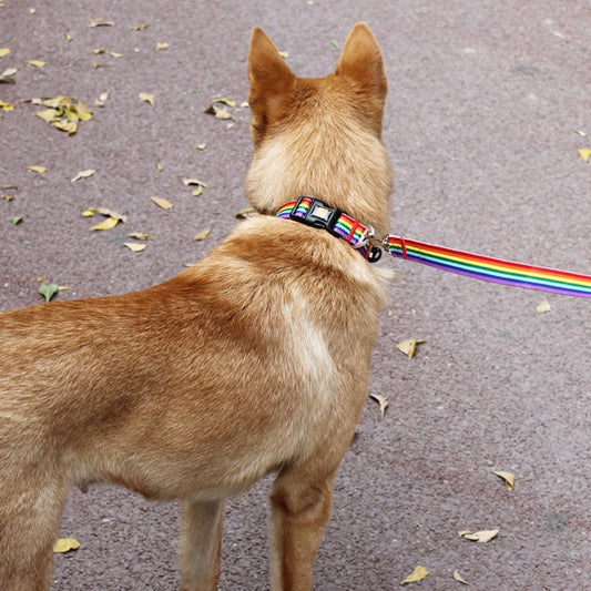 Pet Collar