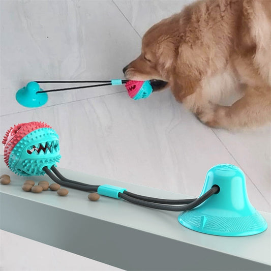 dog biting toy