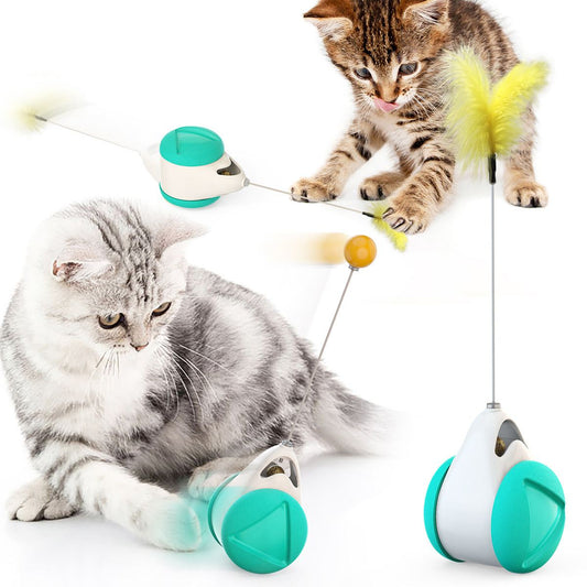 Pet Ball Toys