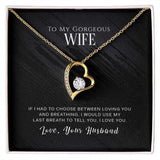 Forever Love Necklace